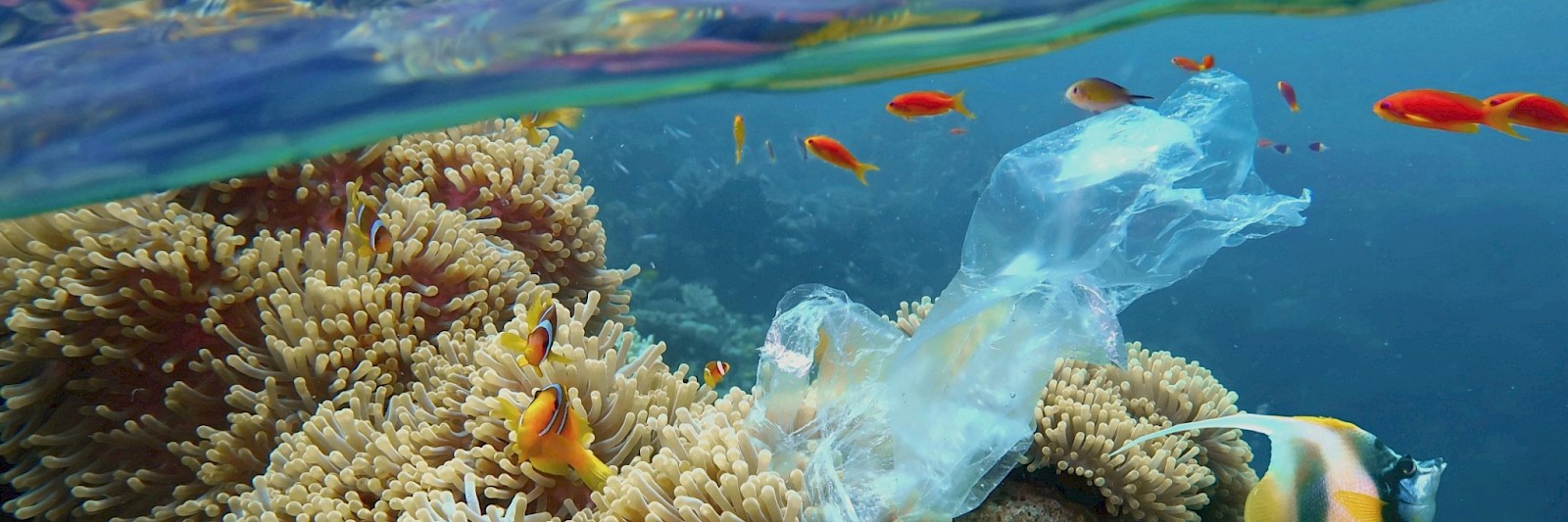 GloLitter Partnerships Project | OceanLitter Programme