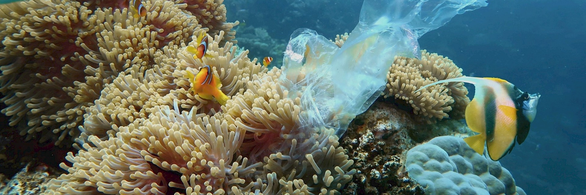 GloLitter Partnerships Project