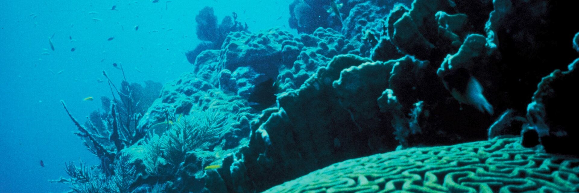 OceanLitter Programme Global Task Force Training and Workshop