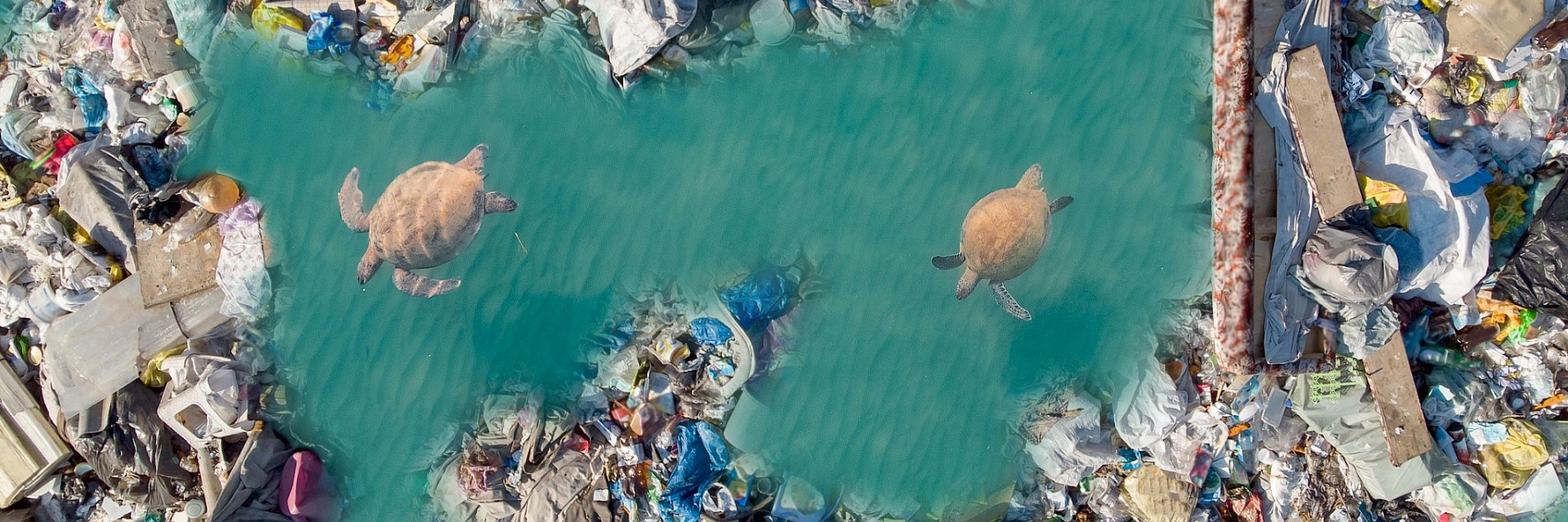 IMO reaffirms ambition to achieve zero plastic waste discharges to sea from ships by 2030