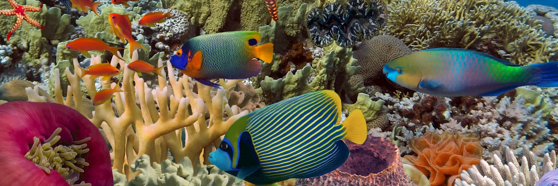 Costa Rica announces the launch of the PRO-SEAS Project