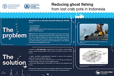 View: Reducing ghost fishing  from lost crab pots in Indonesia