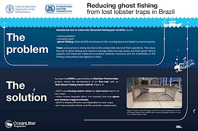 View: Reducing ghost fishing from lost lobster traps in Brazil