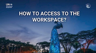 View: How to access the workspace on the Global Plastics Hub