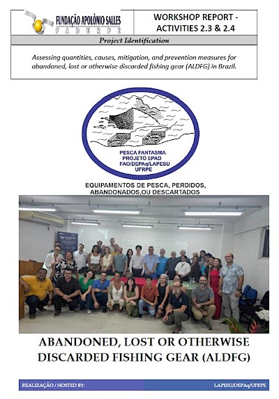 View: Assessing quantities, causes, mitigation, and prevention measures for abandoned, lost or otherwise discarded fishing gear (ALDFG) in Brazil